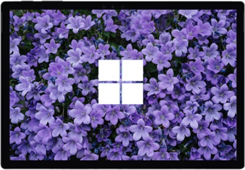 Microsoft Surface Pro 7 Plus Black 256GB (i7) 16GB, Wifi C - CeX (UK ...