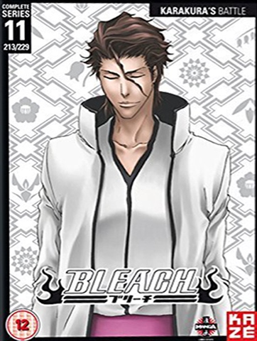 BLEACH Manga Volume 11