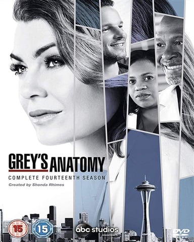 Grey's Anatomy Season 14 (15) DVD CeX (UK): Buy, Sell, Donate