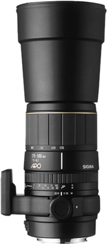 ✨激安特価✨SIGMA 170-500mm F5-6.3 APO Canon Amazon.co.jp: シグマ 