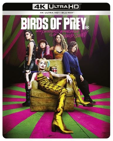 Joker Stream Birds Of Prey 2021 Birds Of Prey (Harley Quinn) (15