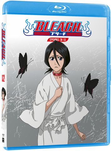 ＢＬＥＡＣＨ 2 With the final episodes being released, what your thoughts on Cour