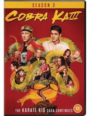 Cobra Kai Seasons (15) Disc CeX (UK): Buy, Sell, Donate